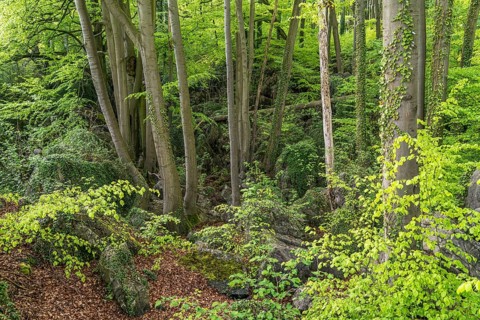 Felsenmeer