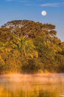 Full moon and morning fog at sunrise over the Rio Negro in the southern Pantanal