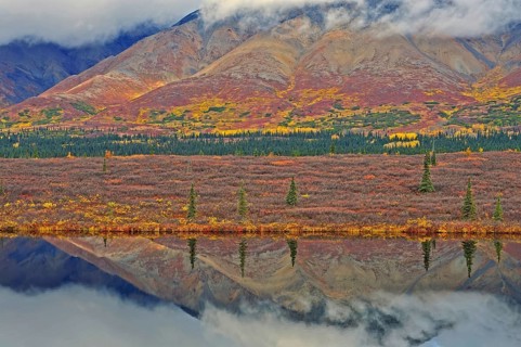 Colorful autumn landscape