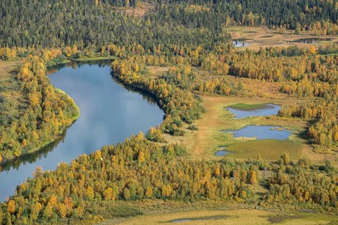 River landscape in autumn