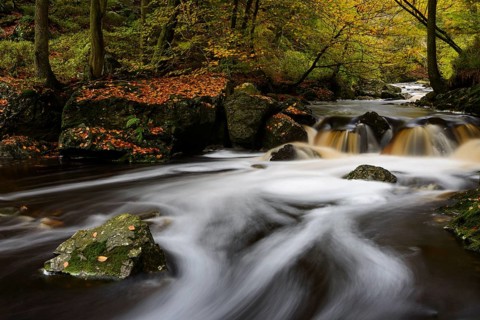 Stream of the Hoegne in autumn
