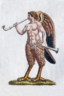Siren