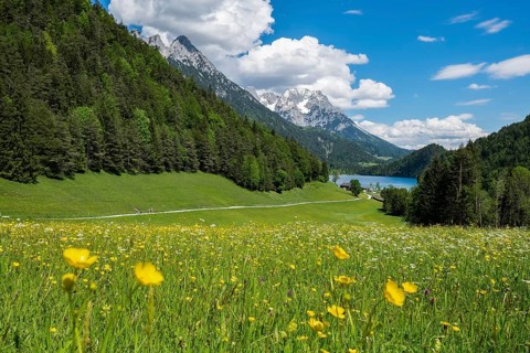 Hintersteinersee