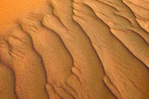 Sand ripples in the sanddunes of Al Khaluf desert