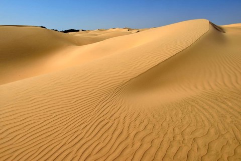 Sanddunes of Al Khaluf desert