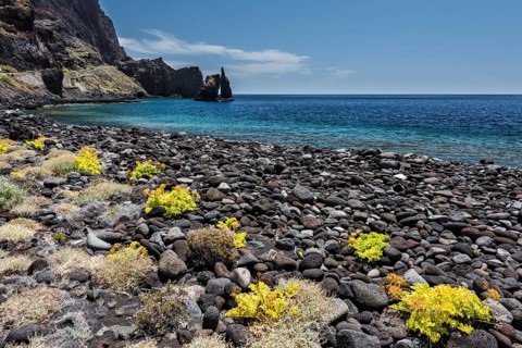 Black stones on the beach Playa de los Almorranas with yellow plants