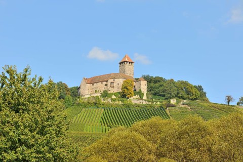 Castle Lichtenberg