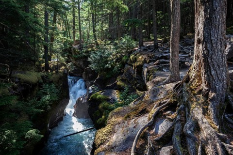 Wild creek