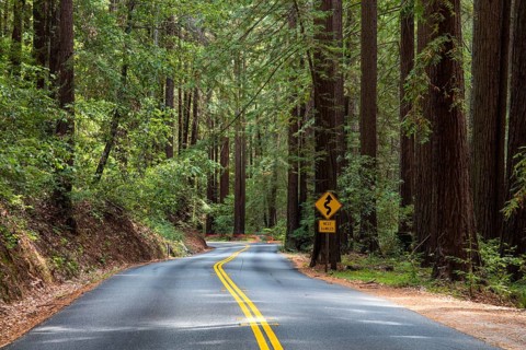Curvy road