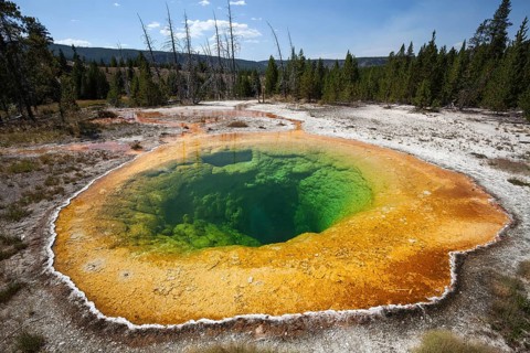 Morning Glory Pool