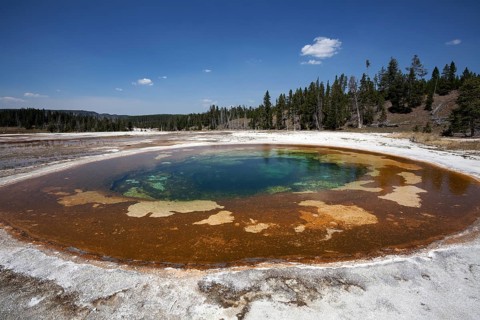 Beauty Pool