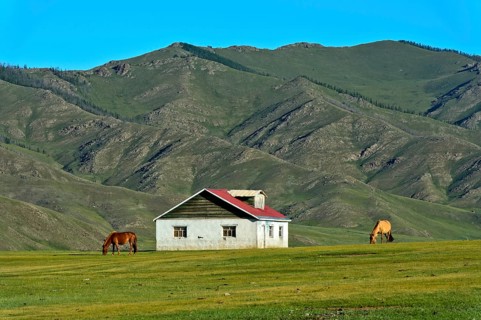 Lonely house in the Orchon Valley