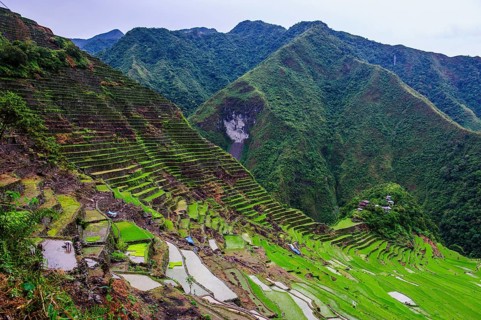 Batad rice terraces
