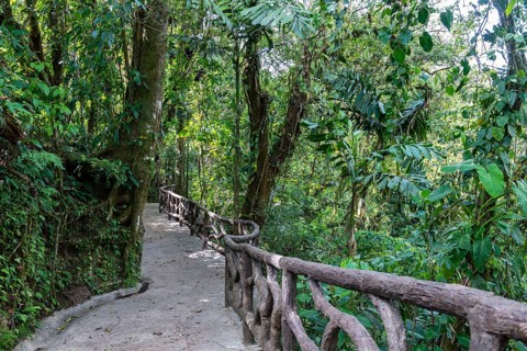 Hiking Trail