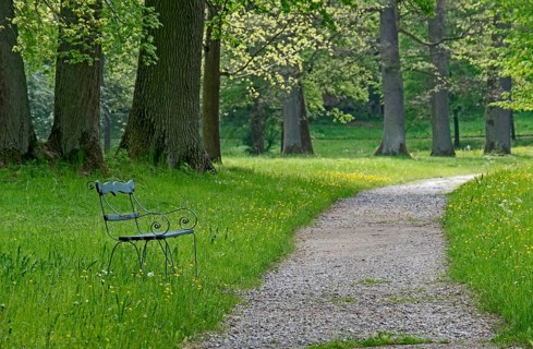 Bench in the park of castle Fasanerie