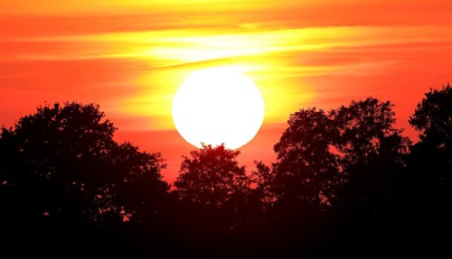 Sunset over trees