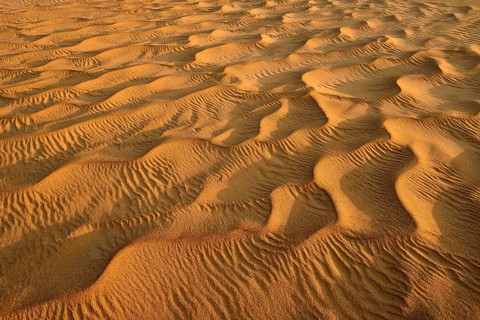 Sand ripples in the sanddunes of Al Khaluf desert