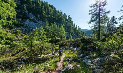 Hiker on footpath to the Karlingerhaus