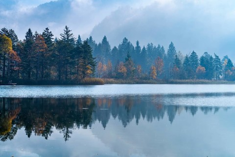 Morning fog in autumn at Lake Schwansee