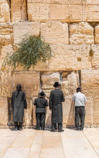 Praying Orthodox Jews at the Wailing Wall