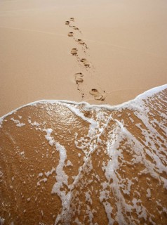 Surf