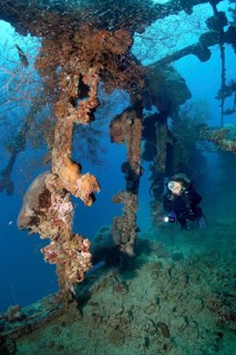 Diver