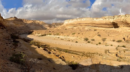 Limestone canyon of Wadi Shuwaymiyah