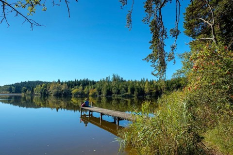 Footbridge with hiker at Auweiher near Bernried