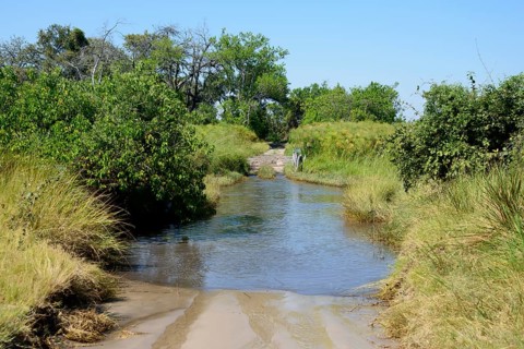 Ford with water