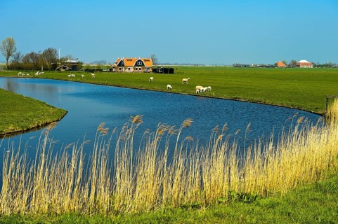Marshland with river and farmhouse