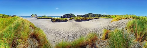 Sandy beach with grassy dunes