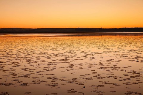 Nature reserve Federsee lake at sunrise
