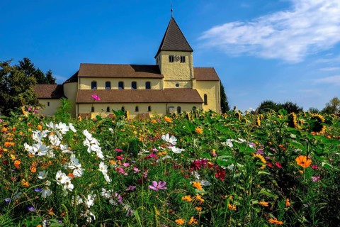 Meadow of flowers in front of George Church