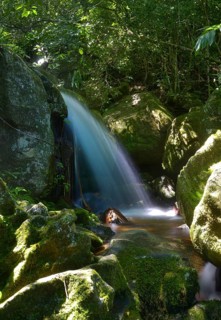 Waterfall in jungle