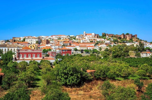 Cityview with medieval cathedral and castle