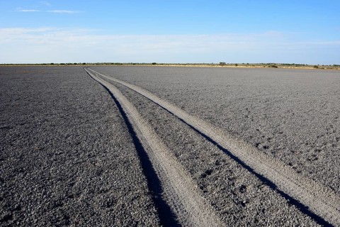Tire tracks through Deception Pan in Deception Valley of the Central Kalahari Game Reserve