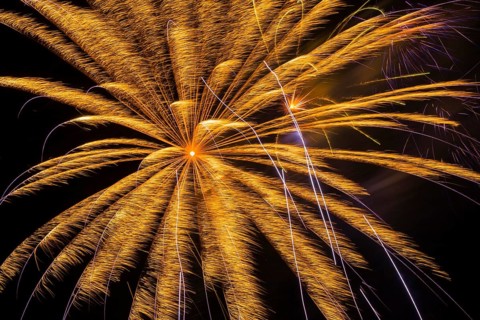 Orange fireworks in night sky