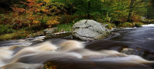 Stream of the Hoegne in autumn