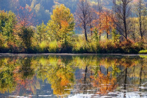 Igelsbachsee in autumn