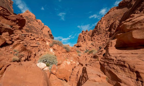 Rainbow Vista Trail