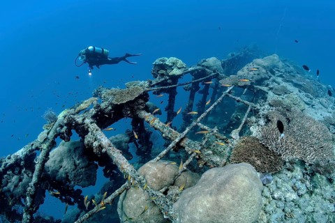 Diver near British Loyalty shipwreck