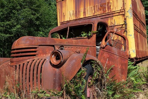 Plants growing out of vintage truck