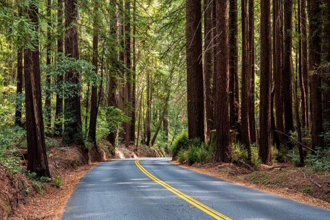 Curvy road