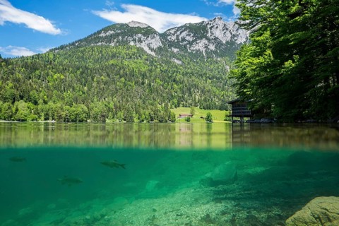 Hintersteinersee with fish