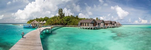 Tropical Island