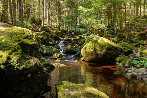 Steinklamm