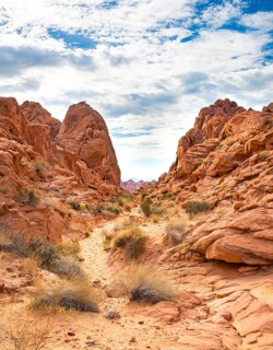 Rainbow Vista Trail