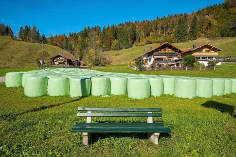 Bank and green hay silo bales in front of farmhouses