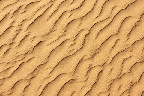 Sand ripples in the sanddunes of Al Khaluf desert