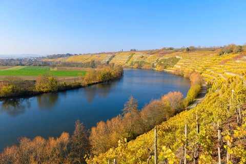 Neckar loop near Kirchheim am Neckar